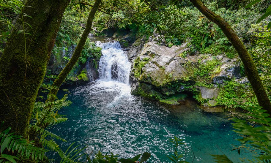 La Reunion Flitterwochen Ausflug Dschungel La Réunion Flitterwochen romantischer Pool im Urwald